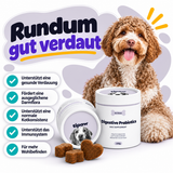 Probiotika-Kausnacks für Hunde – Übersicht der Vorteile