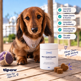 8-in-1 Multivitamin Kausnacks für Hunde – Hund mit Produktvorteilen