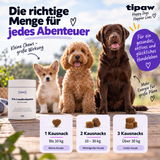 8-in-1 Multivitamin Kausnacks für Hunde – Fütterungsempfehlung nach Hundegröße