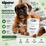 Haut & Fell Kausnacks für Hunde – Hund mit Produktvorteilen