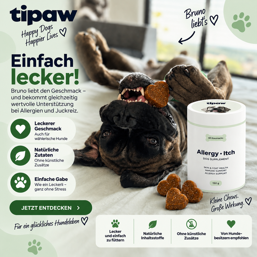 Haut & Fell Kausnacks für Hunde – 60 Stück
