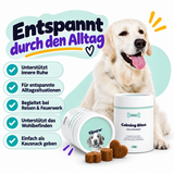 Beruhigungs-Kausnacks für Hunde – Übersicht der Vorteile