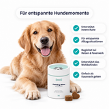 Beruhigungs-Kausnacks für Hunde – Hund mit Produktvorteilen