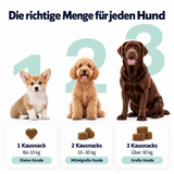 Beruhigungs-Kausnacks für Hunde – Fütterungsempfehlung nach Hundegröße