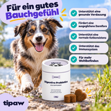 Probiotika-Kausnacks für Hunde – Hund mit Produktvorteilen
