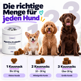 Probiotika-Kausnacks für Hunde – Fütterungsempfehlung nach Hundegröße