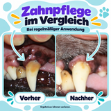Zahnpflege-Pulver für Hunde