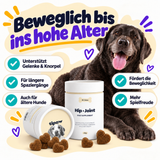 Gelenk-Kausnacks für Hunde – Übersicht der Vorteile