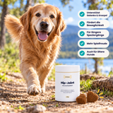 Gelenk-Kausnacks für Hunde – Hund mit Produktvorteilen