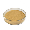 Bacillus Subtilis