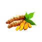 Bio-Kurkuma